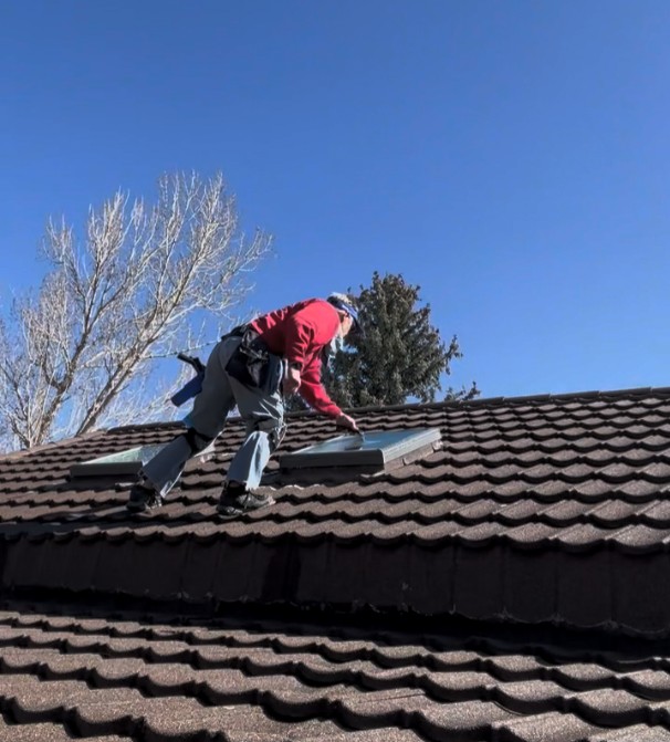 Professional Window Cleaning Project