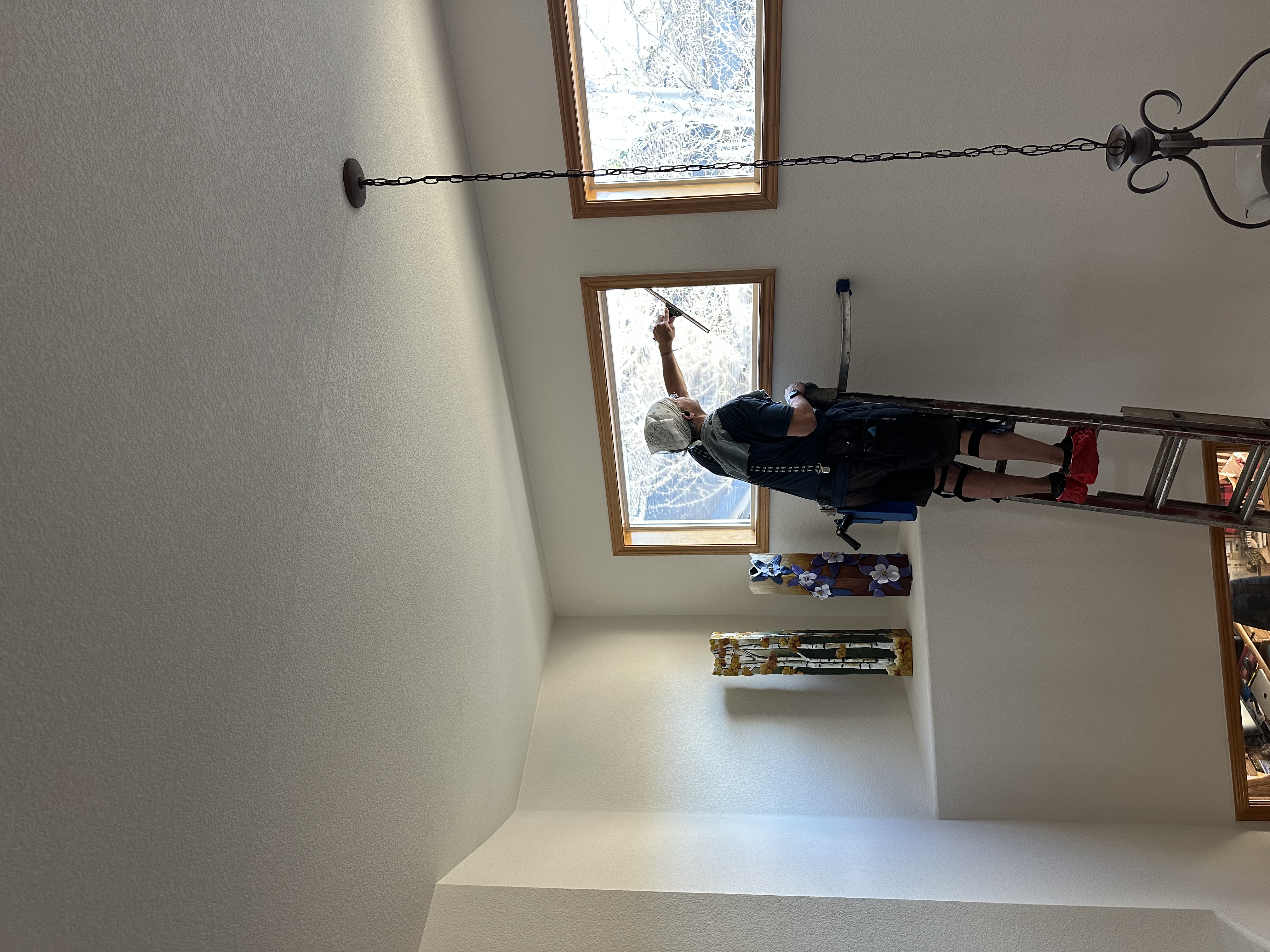 Professional Window Cleaning Project